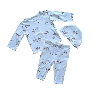 Carter's 3-Piece Hummingbirds Flowers and Berries Matching Set - Size 6M